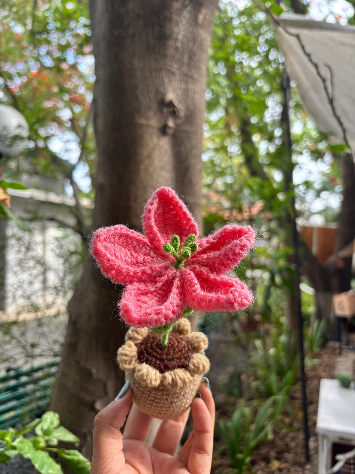 Crochet Pot | Baby Pink Lilly