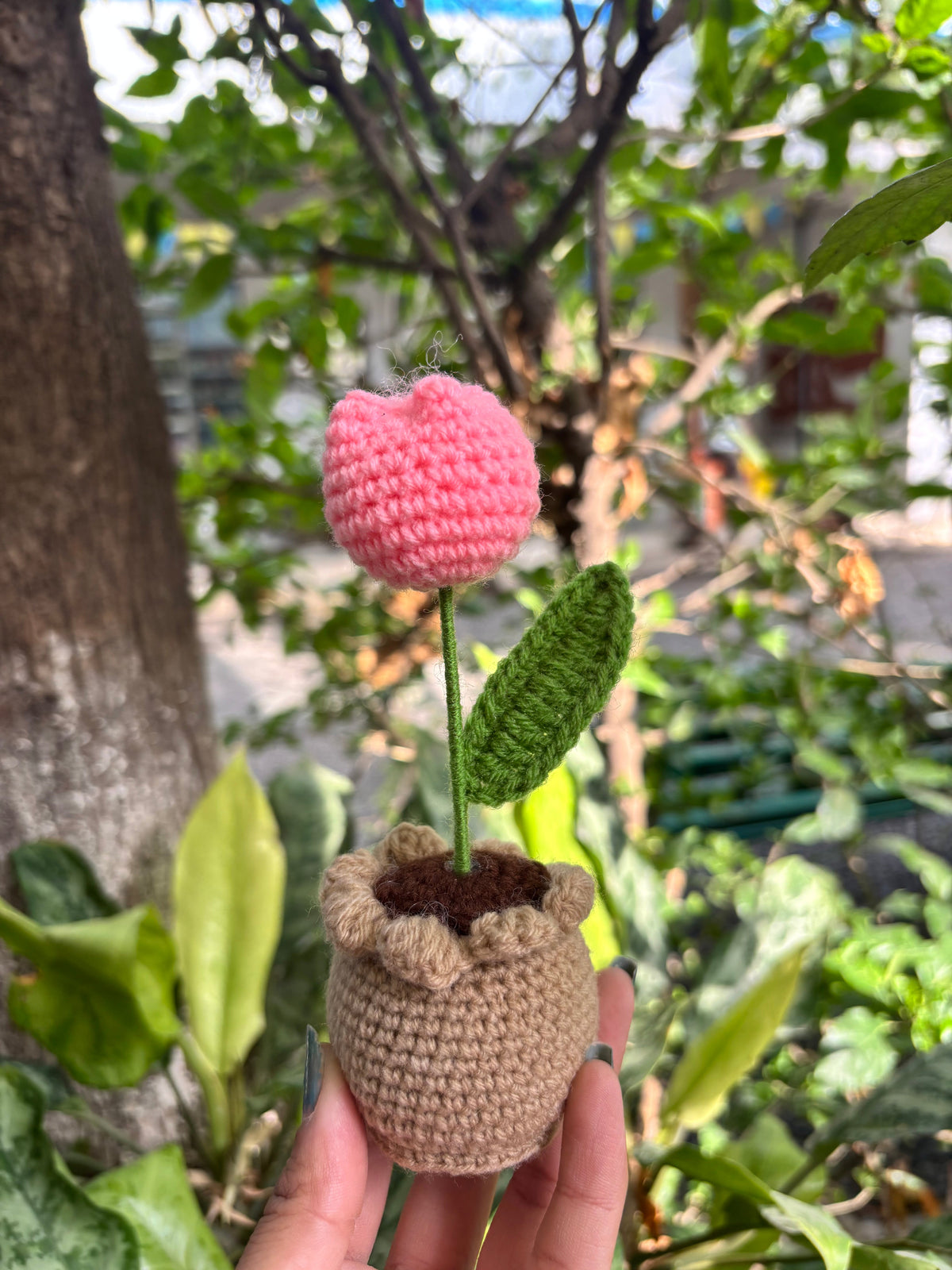 Crochet Pot | Baby Pink Tulip