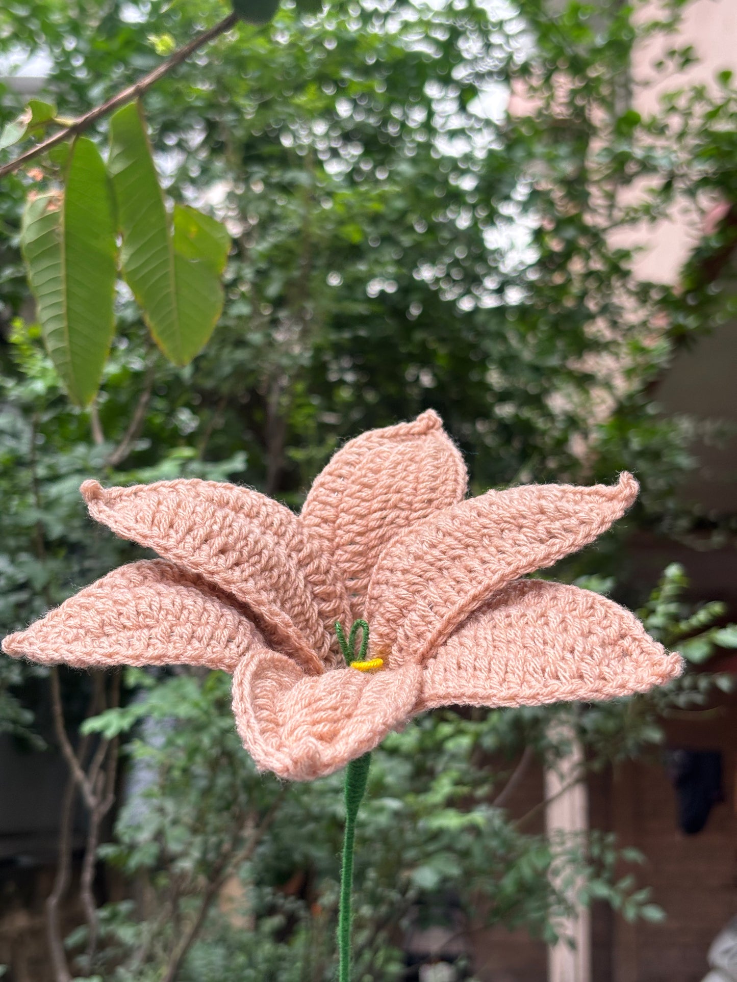 Crochet Flower | Lilly | Light Brown