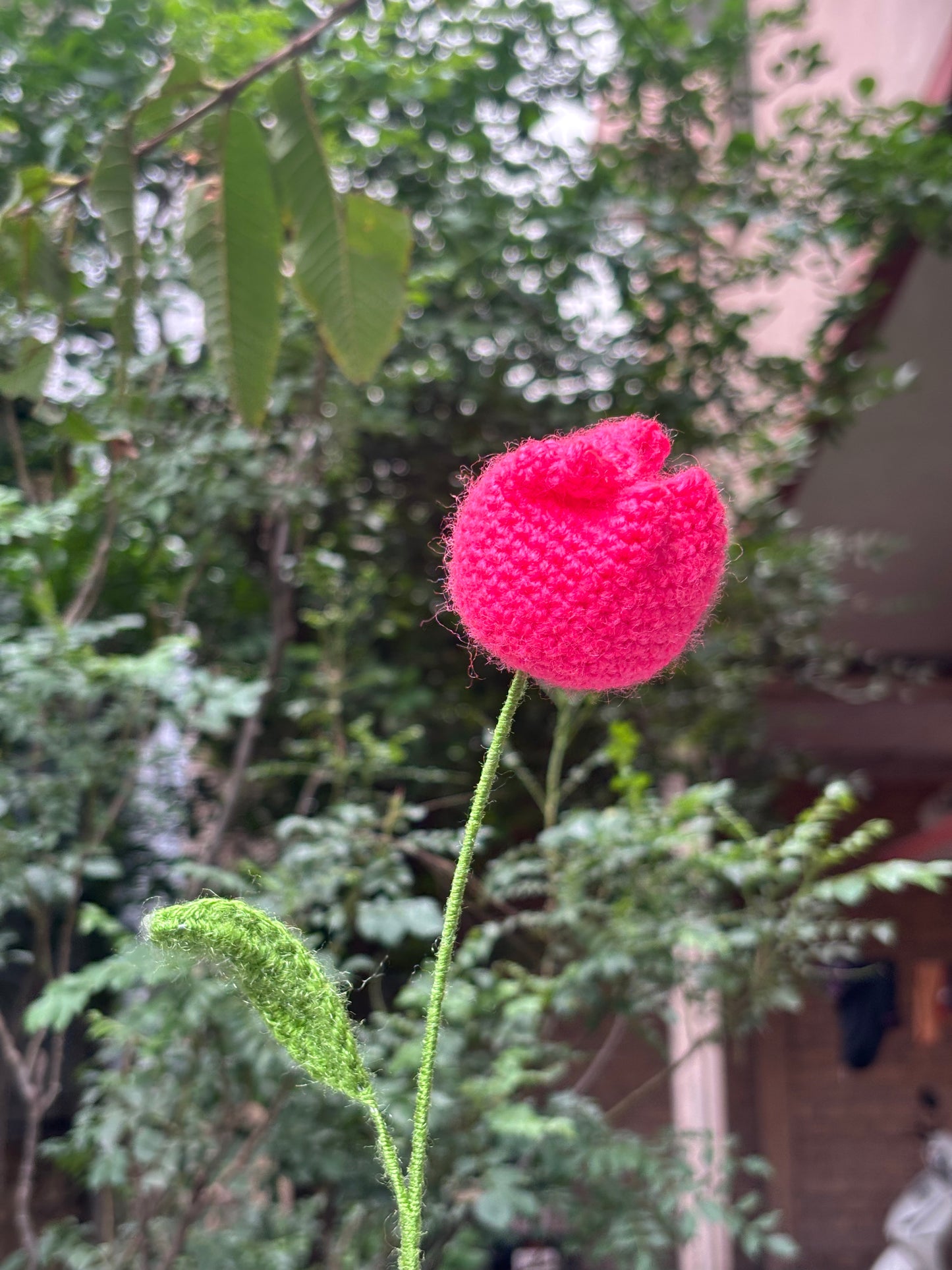 Crochet Flower | Tulip | Cherry Red