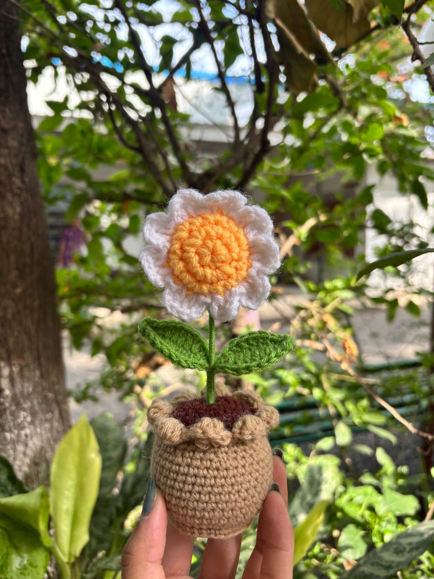 Crochet Pot | Daisy Flower