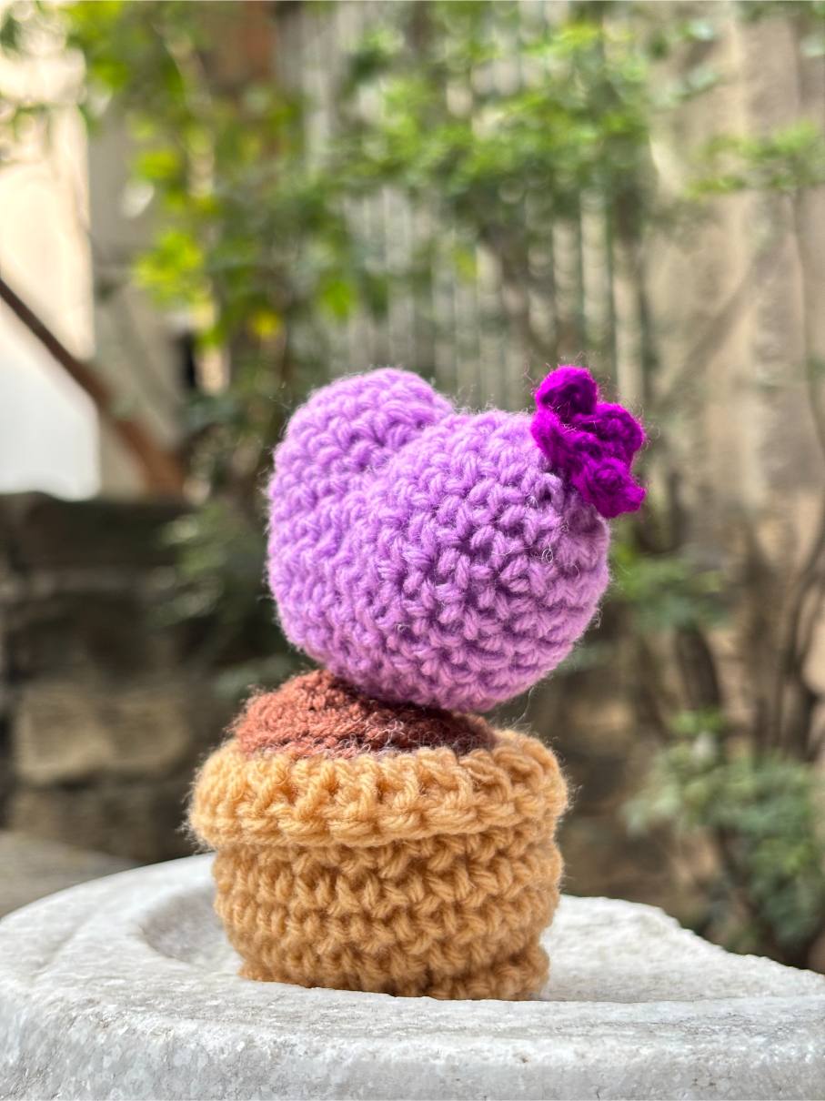 Crochet Pot | Lavendar Rose Heart