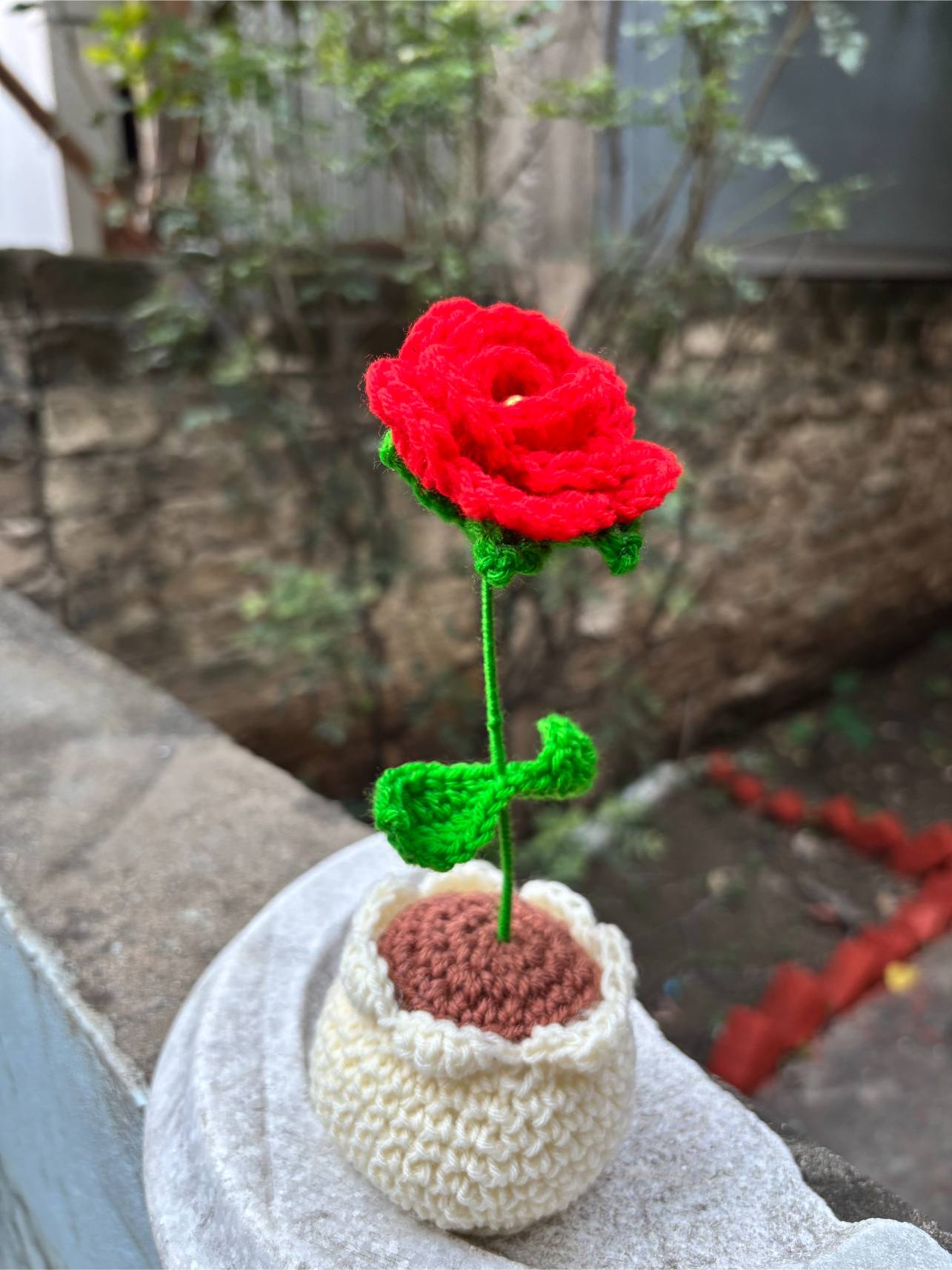 Crochet Pot | Red Rose