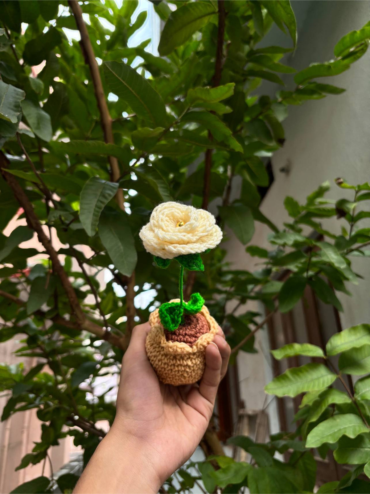 Crochet Pot | Yellow Rose