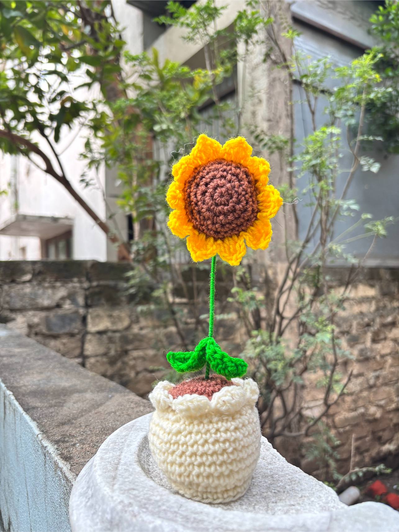 Crochet Pot | Sunflower