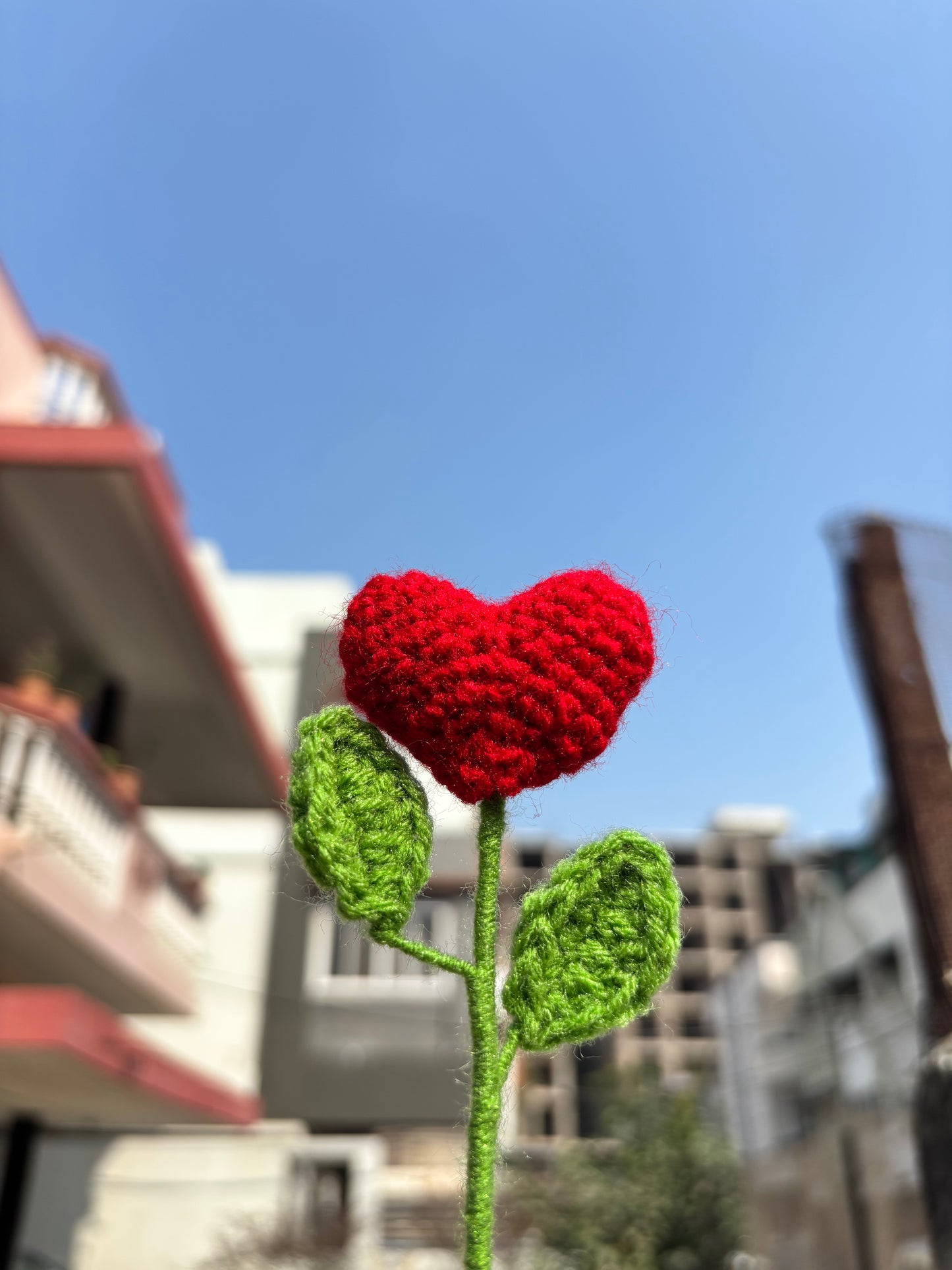 Valentine's Special | Love Heart Flowers