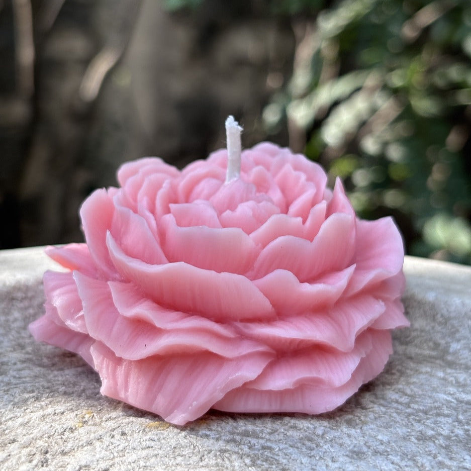 Peonny Flower Rose Scented Candle