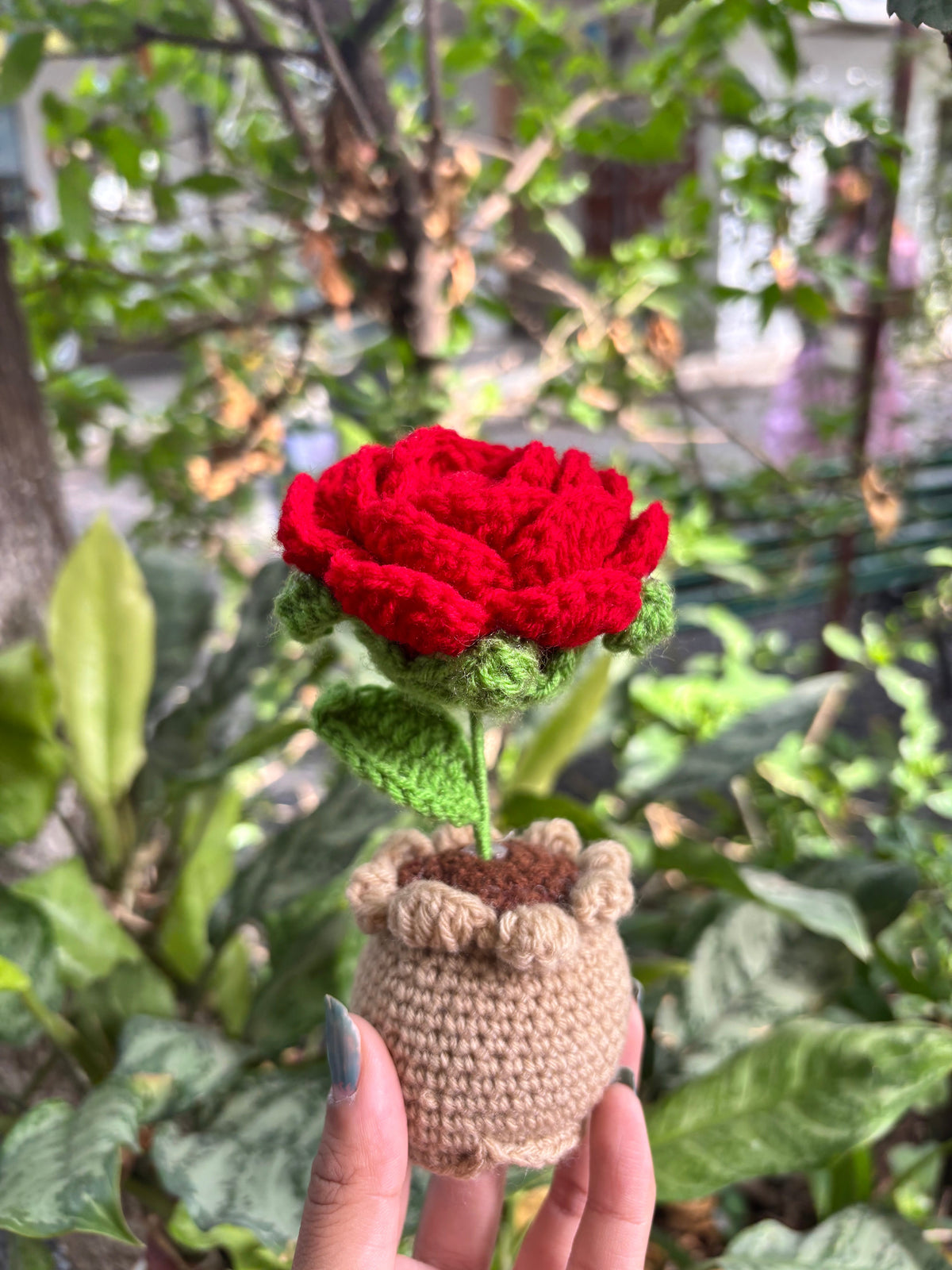Crochet Pot | Red Rose