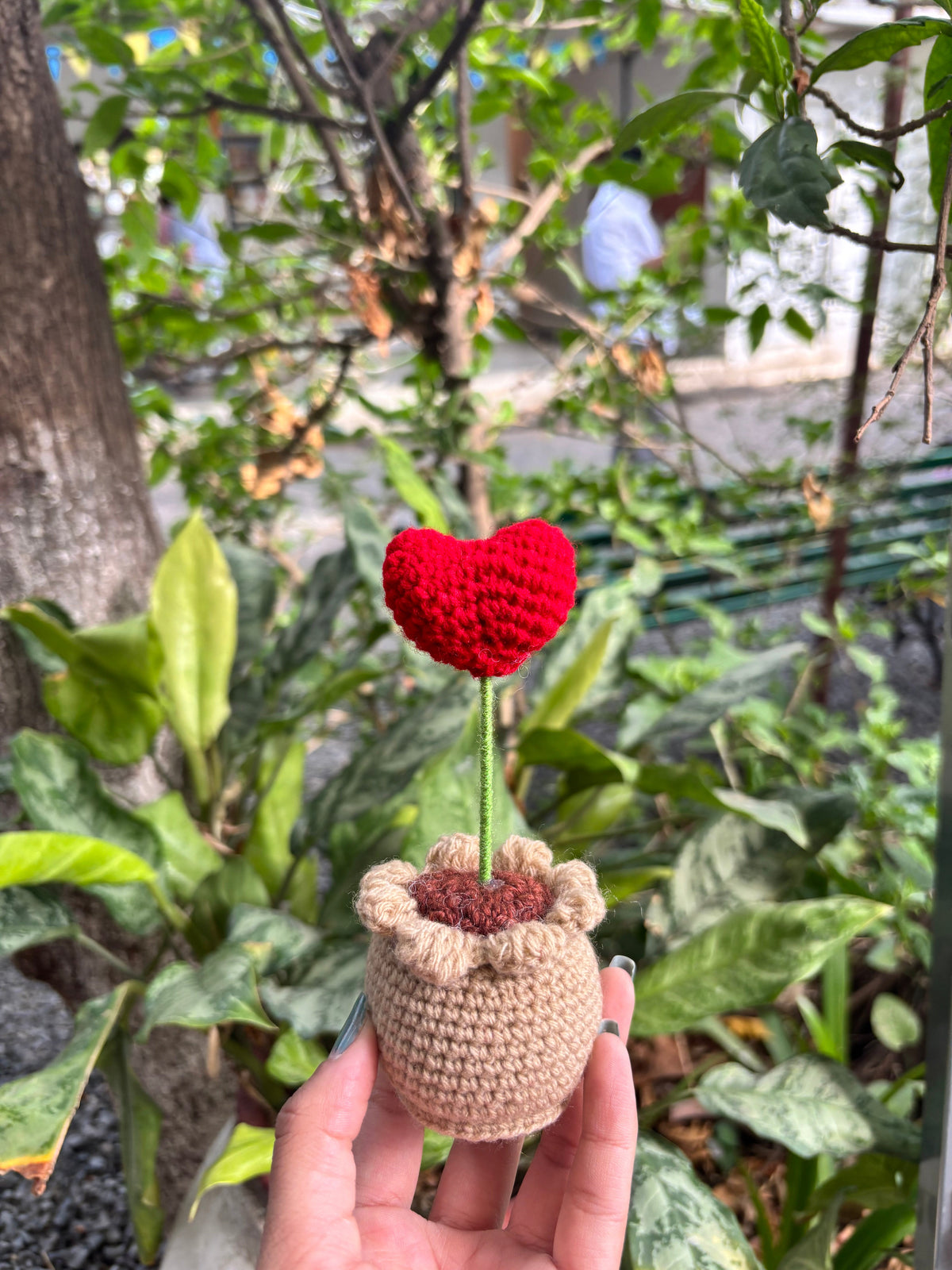 Crochet Pot | Red Heart