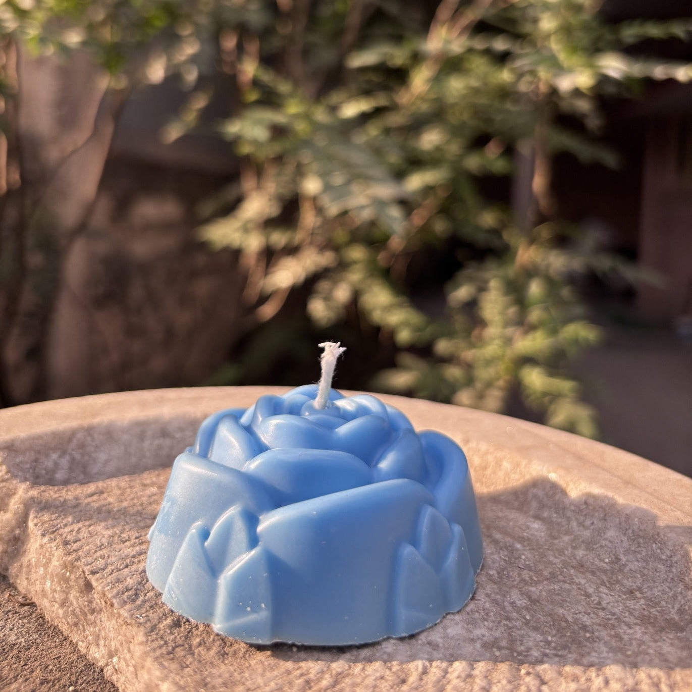 Rose Petal - Frosted Scented Candle