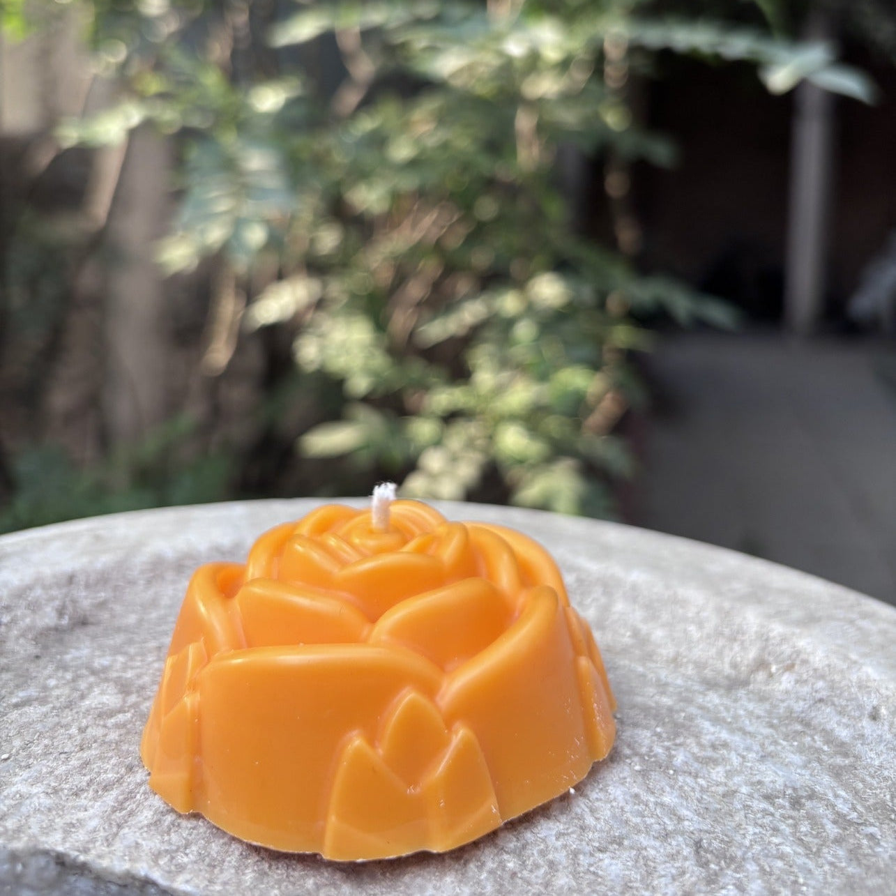 Rose Petal – Lime Scented Candle