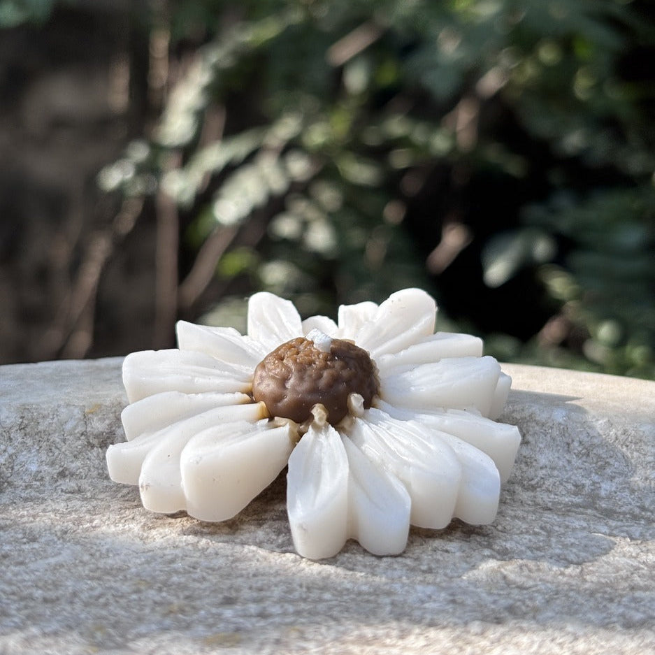 White Brown Jasmine Scented Daisy Candle