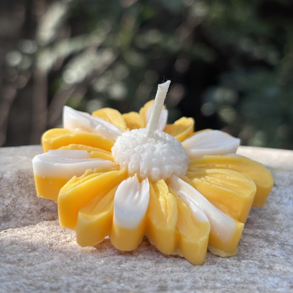 White Yellow Daisy Scented Candle