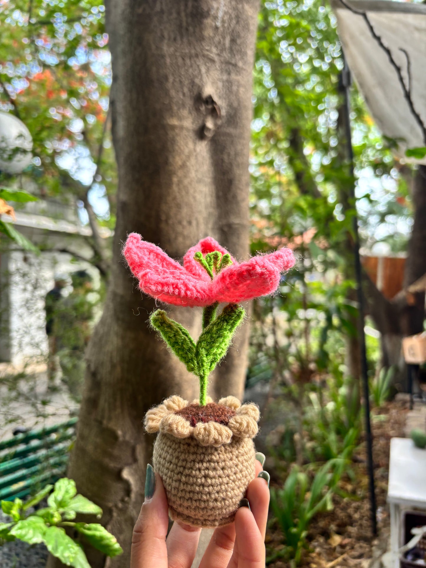 Crochet Pot | Baby Pink Lilly