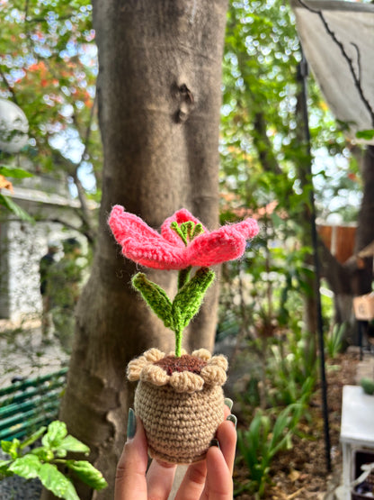 Crochet Pot | Baby Pink Lilly