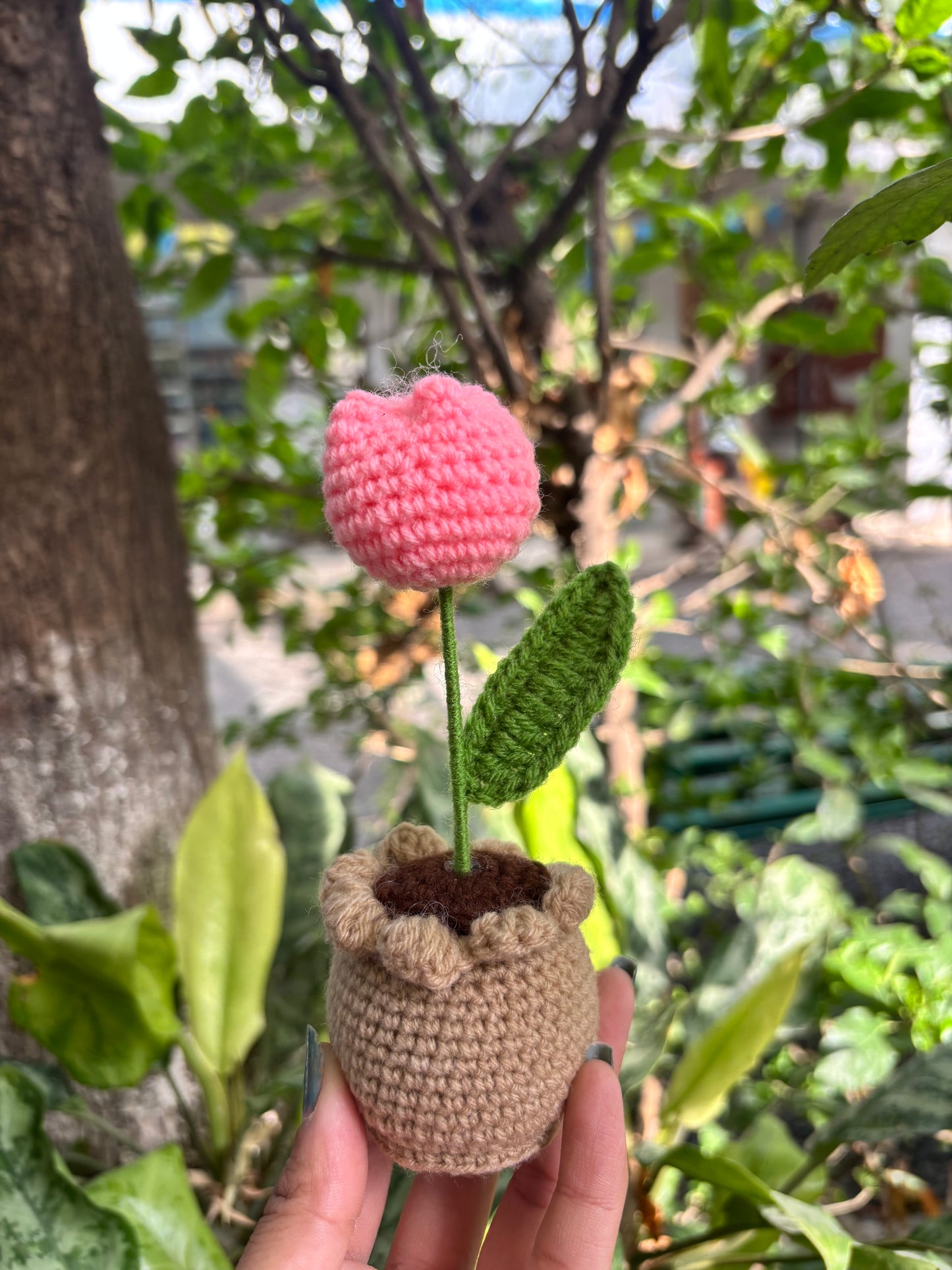 Crochet Pot | Baby Pink Tulip
