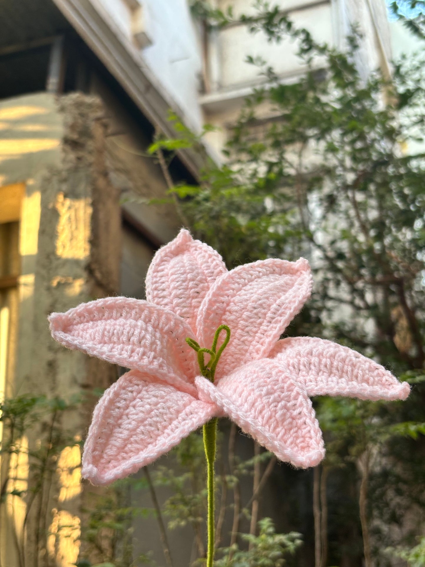 Crochet Flower | Baby Pink Lilly Big