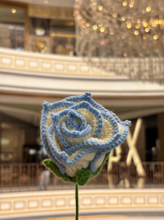 Crochet Flower | Off White | Light Blue Border Rose