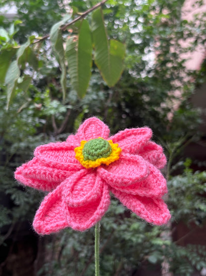 Crochet Flower | Big Lotus | Pink
