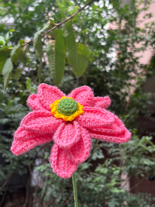 Crochet Flower | Big Lotus | Pink