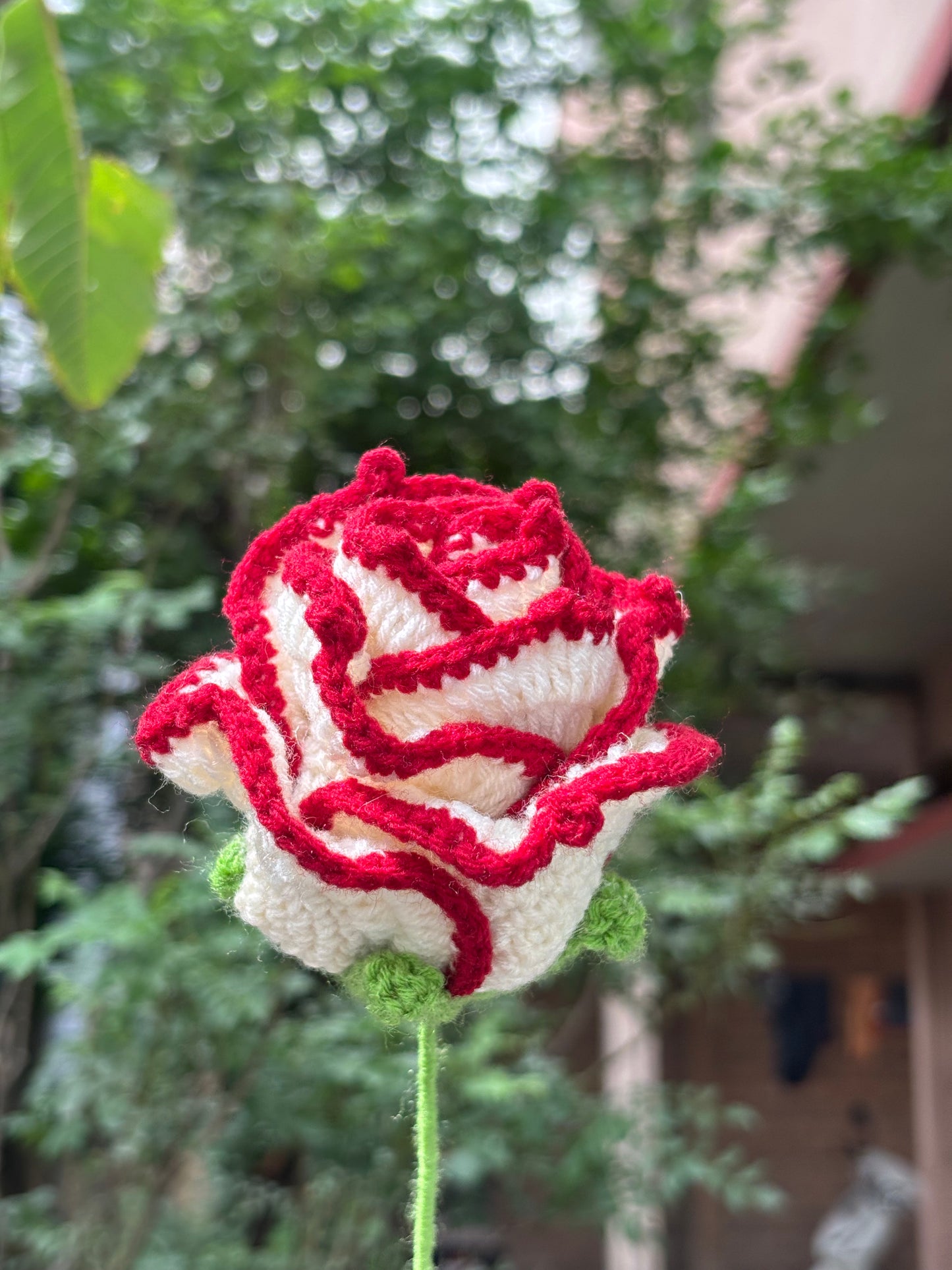 Crochet Flower | Off White | Maroon Border Rose