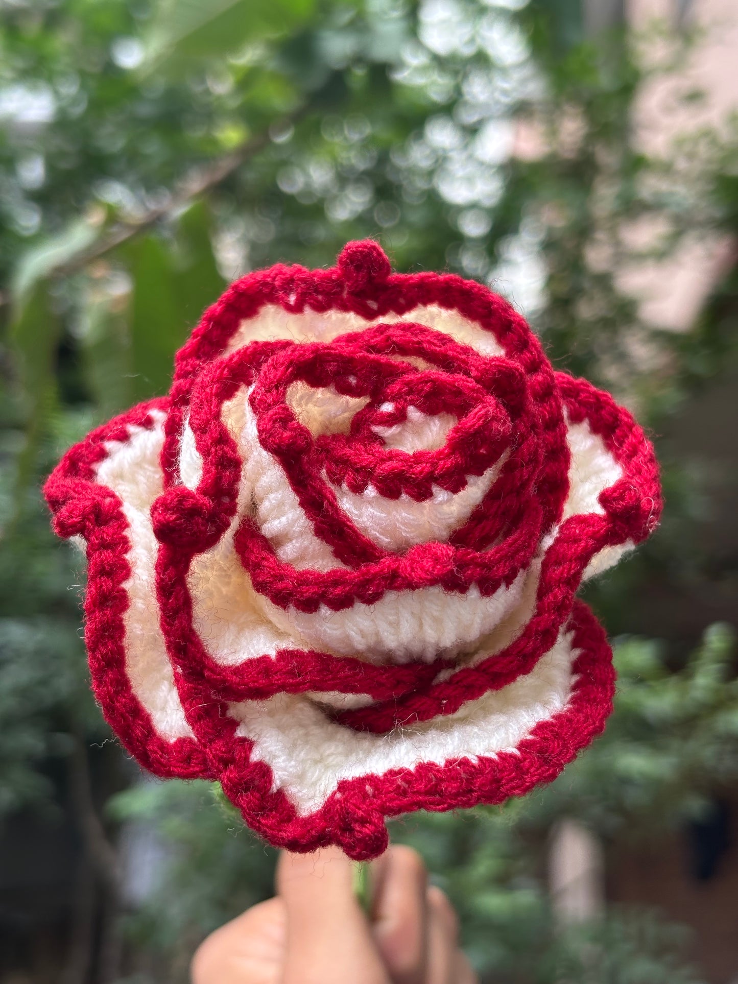 Crochet Flower | Off White | Maroon Border Rose