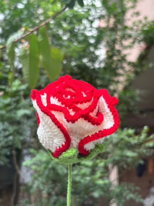 Crochet Flower | Off White | Red Border Rose