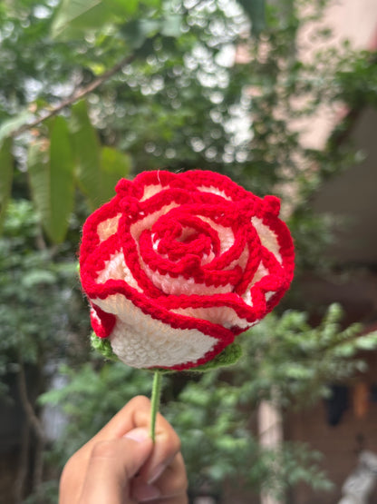 Crochet Flower | Off White | Red Border Rose
