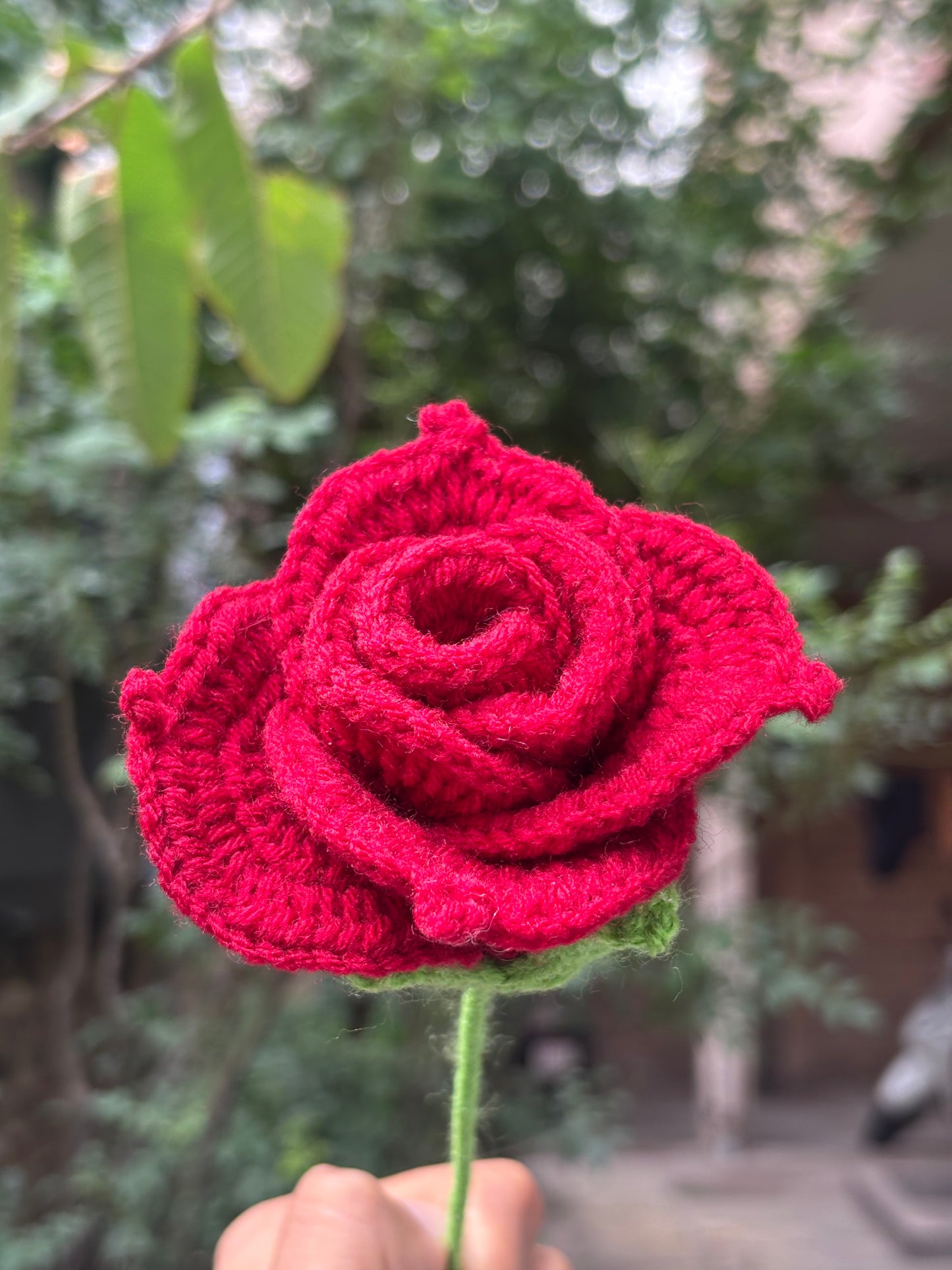 Crochet Flower | Maroon Rose