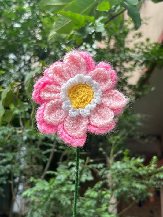 Crochet Flower | Zenia Pink