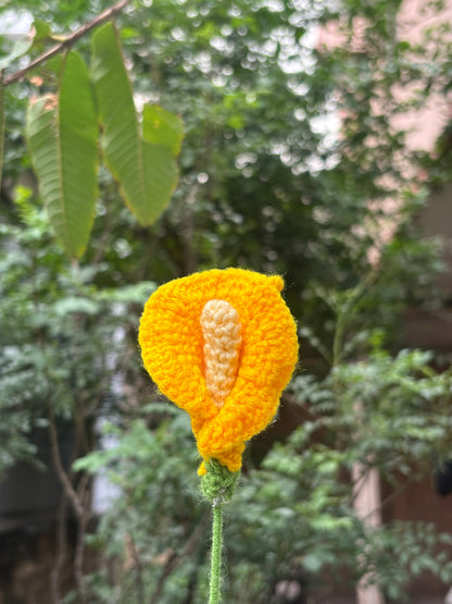 Crochet Flower | Calla Lilly | Yellow