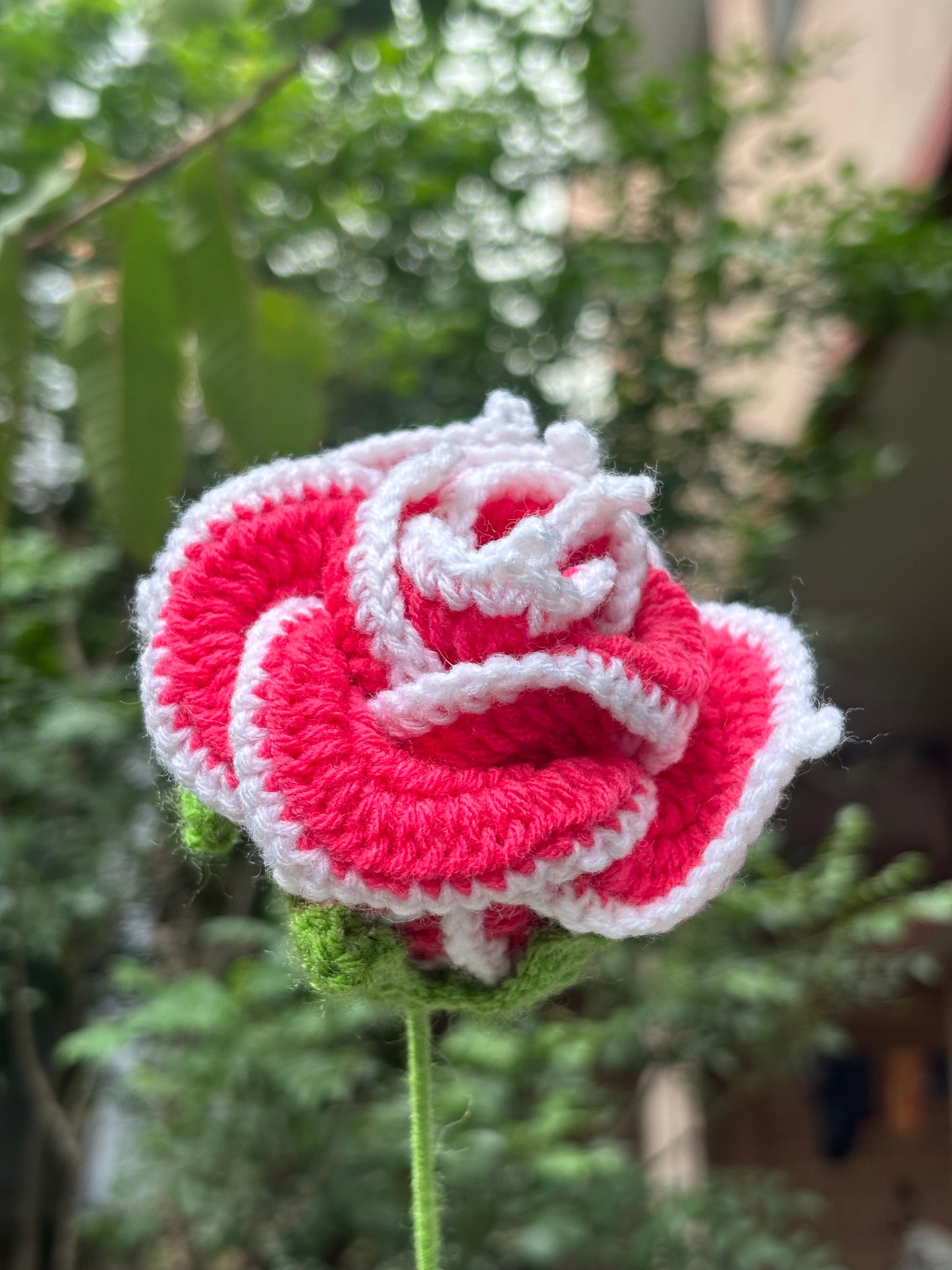 Crochet Flower | Cherry Red | White Border Rose