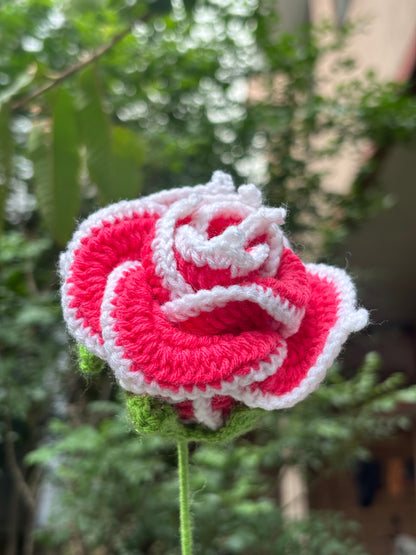 Crochet Flower | Cherry Red | White Border Rose