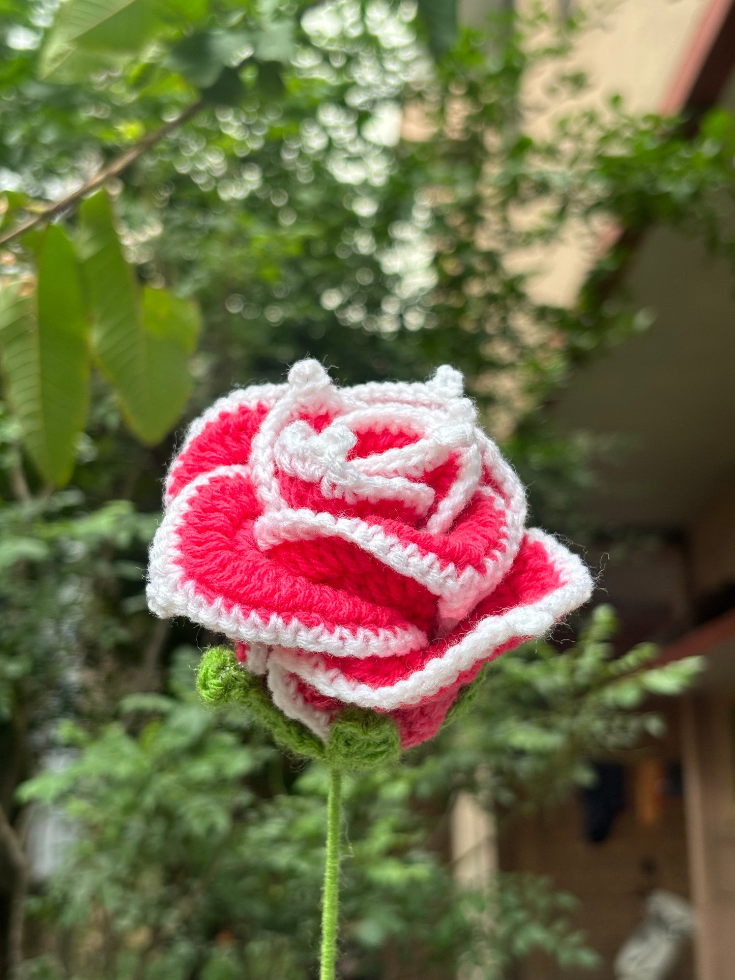 Crochet Flower | Cherry Red | White Border Rose