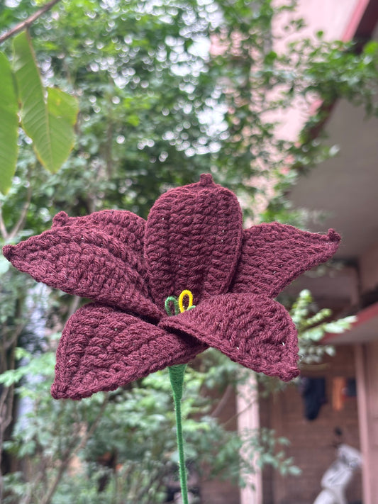 Crochet Flower | Lilly | Dark Brown