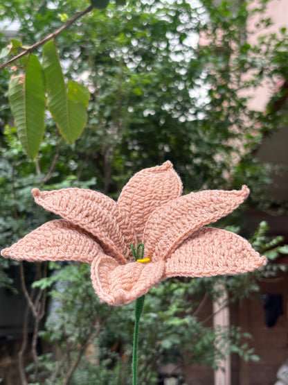 Crochet Flower | Lilly | Light Brown