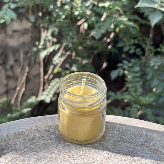 Fresh Lime Small Container Scented Candle