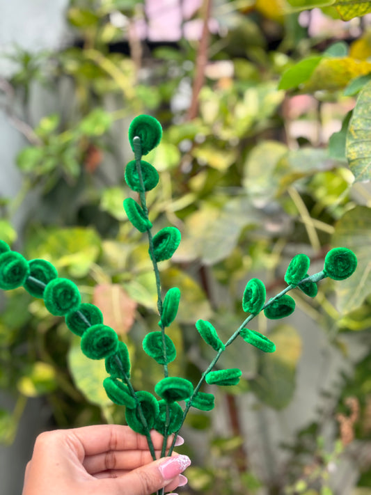 Fuzzy Flower | Green Stem Sticks