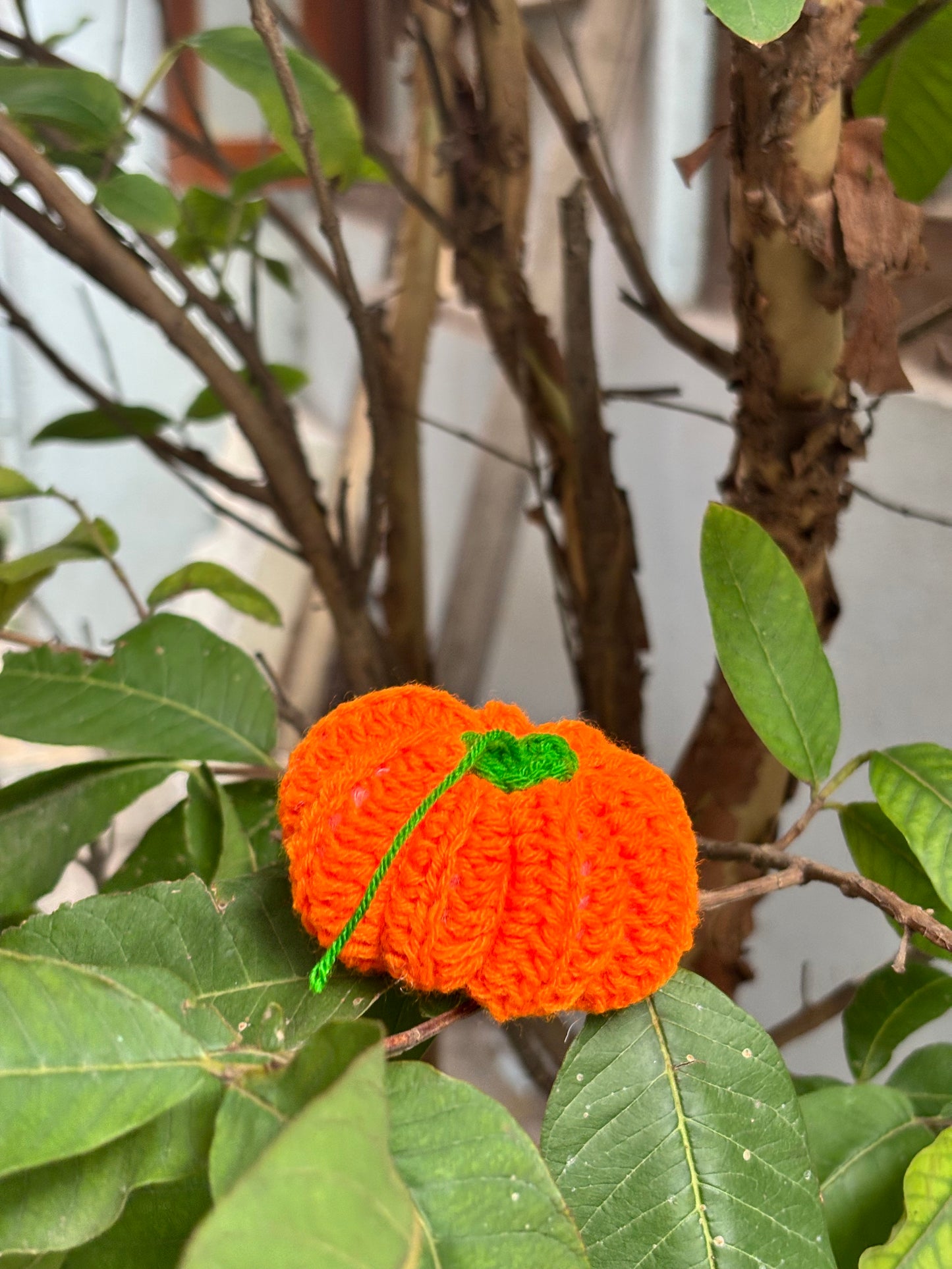 Pumpkin Crochet Keychain