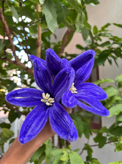 Lilly Fuzzy Flower | Purple