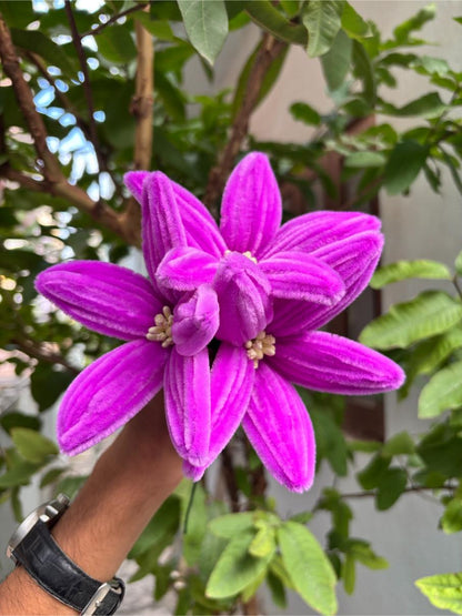 Lilly Fuzzy Flower | Liliac