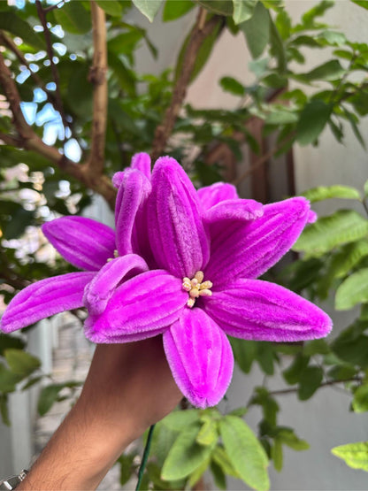 Lilly Fuzzy Flower | Liliac