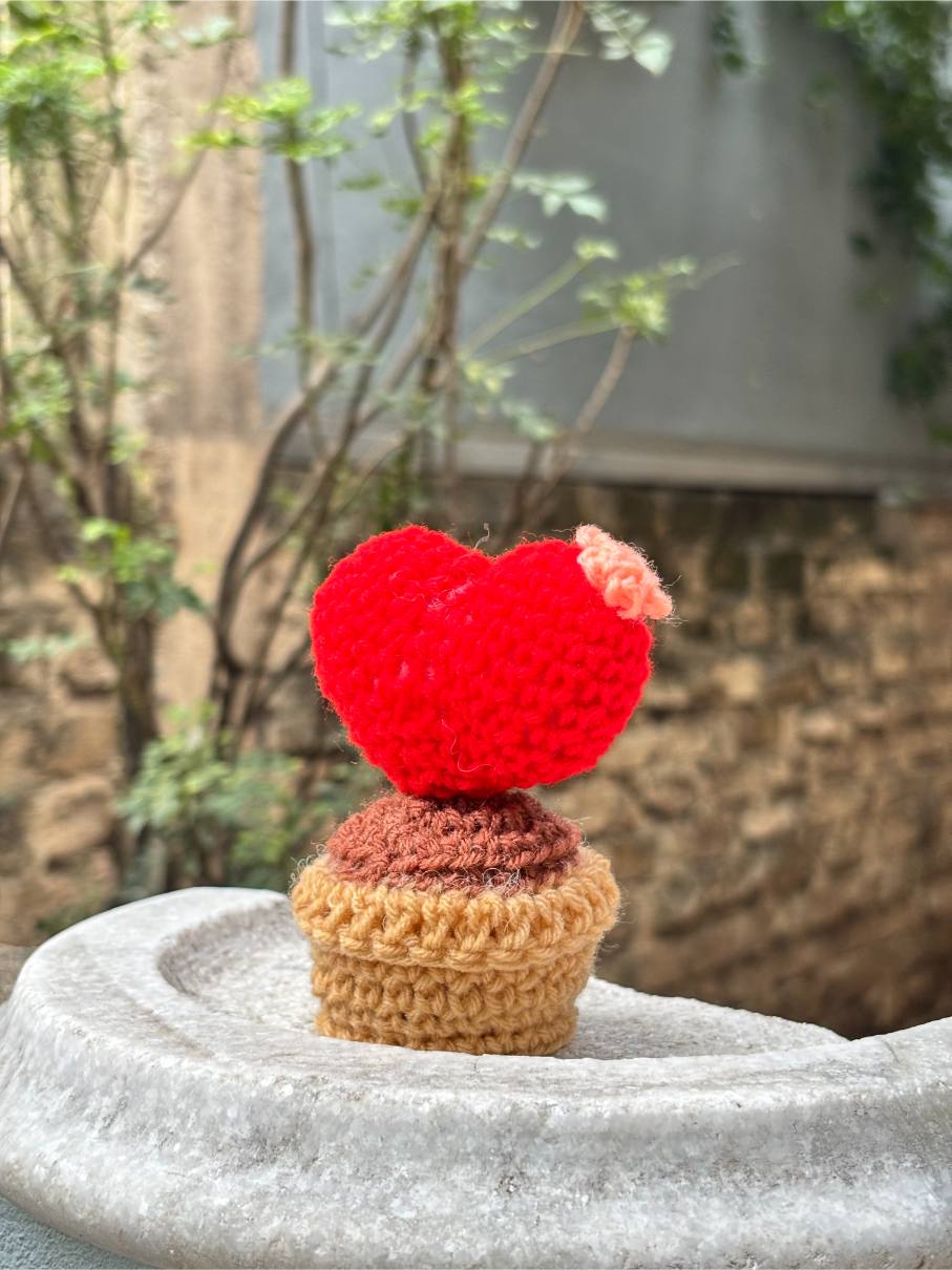 Crochet Pot | Red Rose Heart