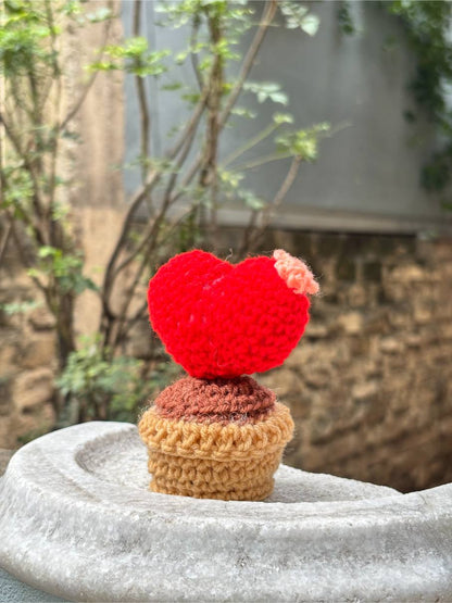 Crochet Pot | Red Rose Heart
