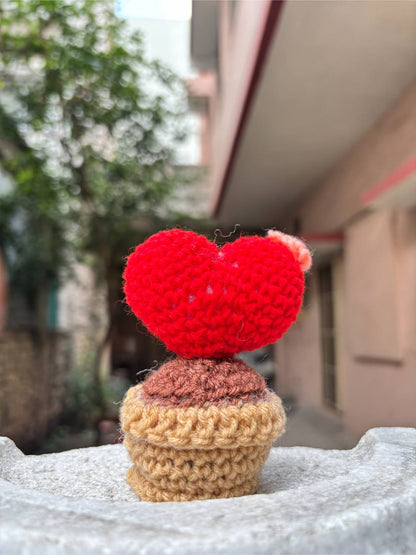 Crochet Pot | Red Rose Heart