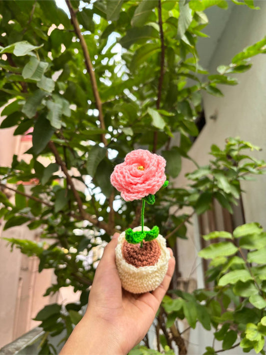 Crochet Pot | Baby Pink Rose