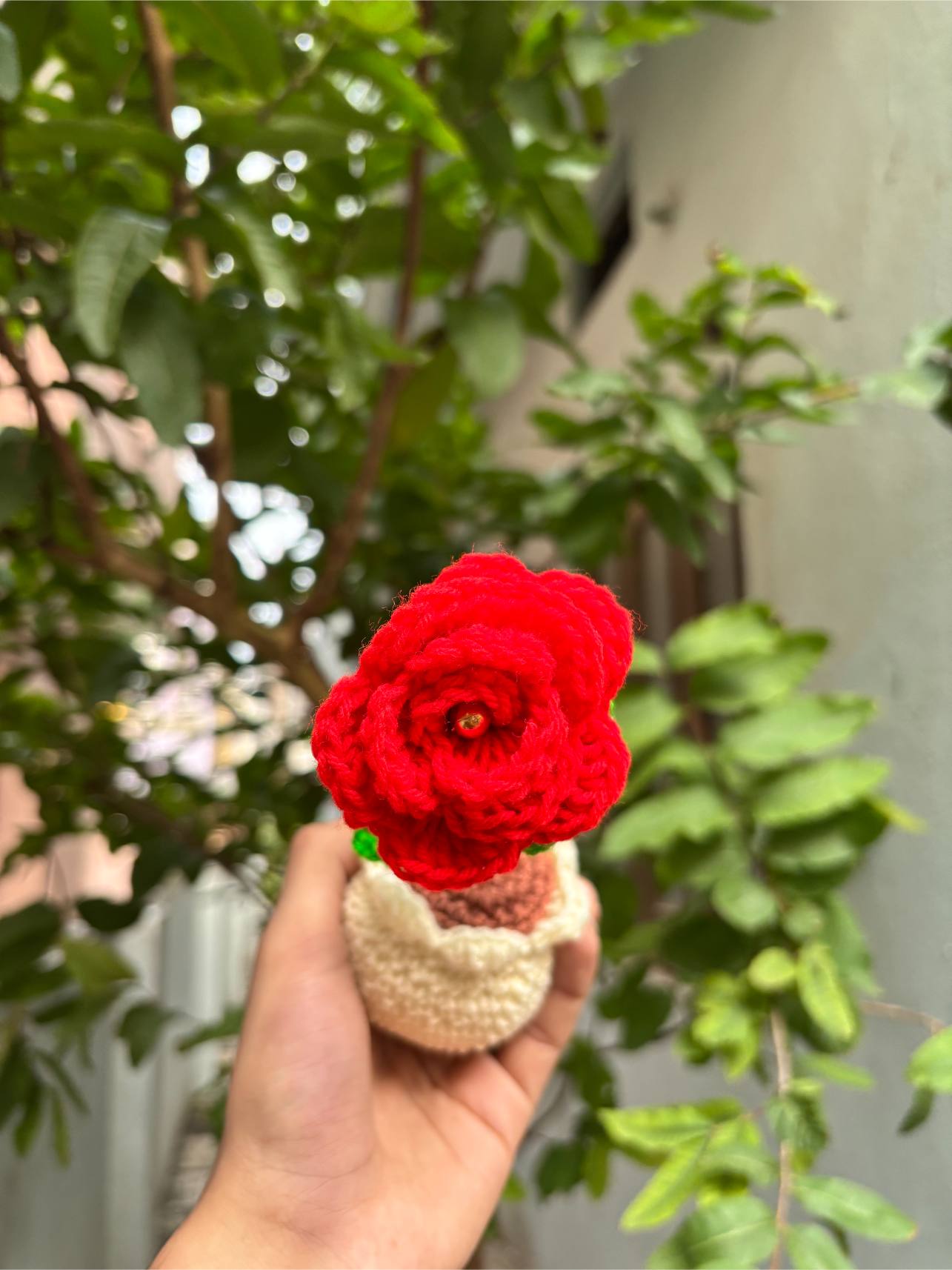 Crochet Pot | Red Rose