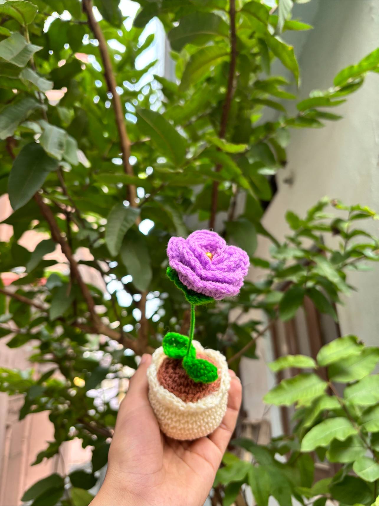 Crochet Pot.| Lavendar Rose