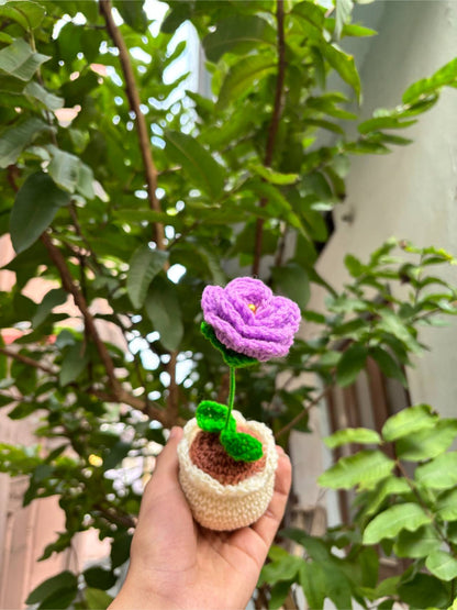 Crochet Pot.| Lavendar Rose