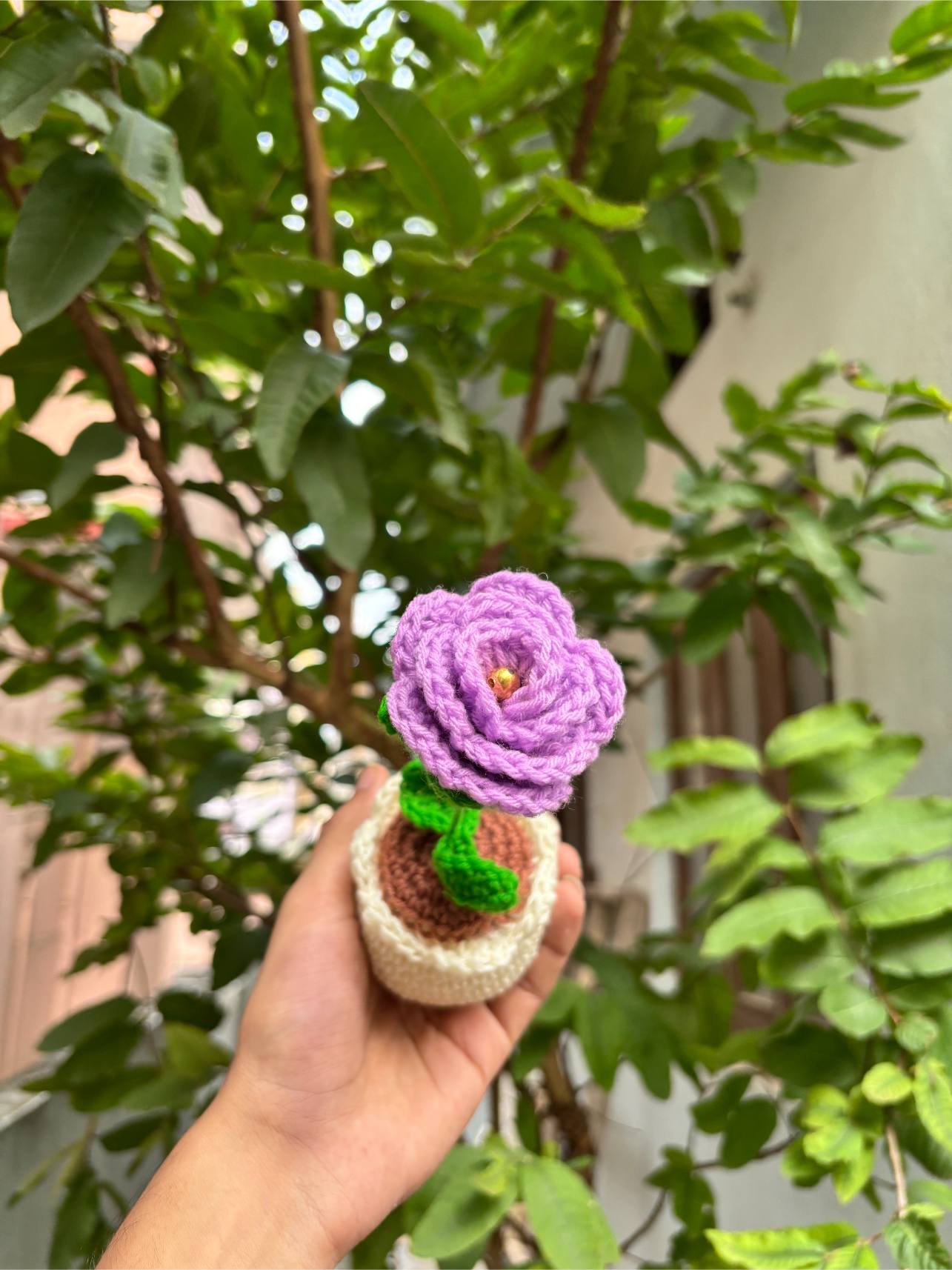 Crochet Pot.| Lavendar Rose